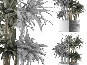 plants collection 116 3D Model