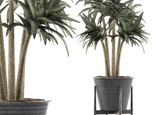 raccolta piante 117 Modello 3D