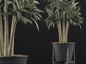 plants collection 117 3D 模型