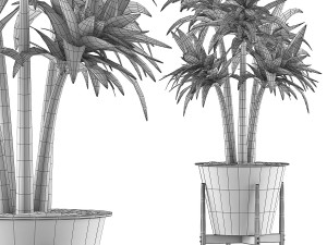 plants collection 117 3D 模型