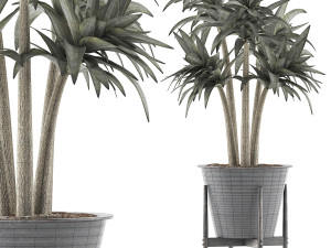 plants collection 117 3D 模型