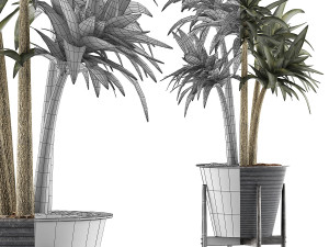 plants collection 117 3D 模型