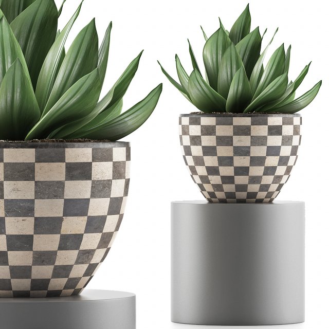 plants collection 118 Modelo 3D .c4d .max .obj .3ds .fbx .stl .blend 
