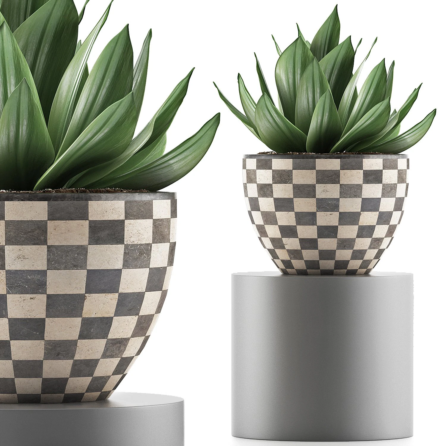 plants collection 118 3D Model .c4d .max .obj .3ds .fbx .stl .blend 