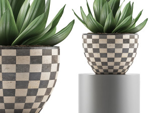 plants collection 118 3D Model