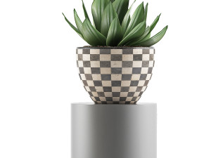 plants collection 118 Modelo 3D