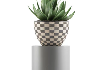 plants collection 118 3D Model