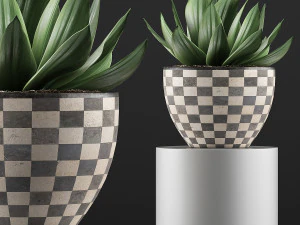 plants collection 118 3D Model