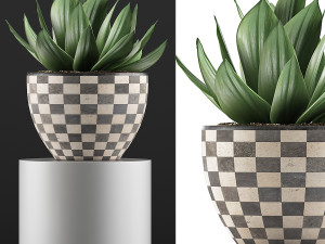 plants collection 118 Modelo 3D