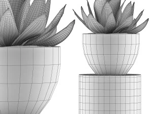 plants collection 118 3D Model
