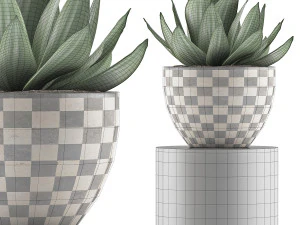 plants collection 118 3D Model