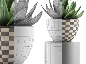 plants collection 118 3D Model