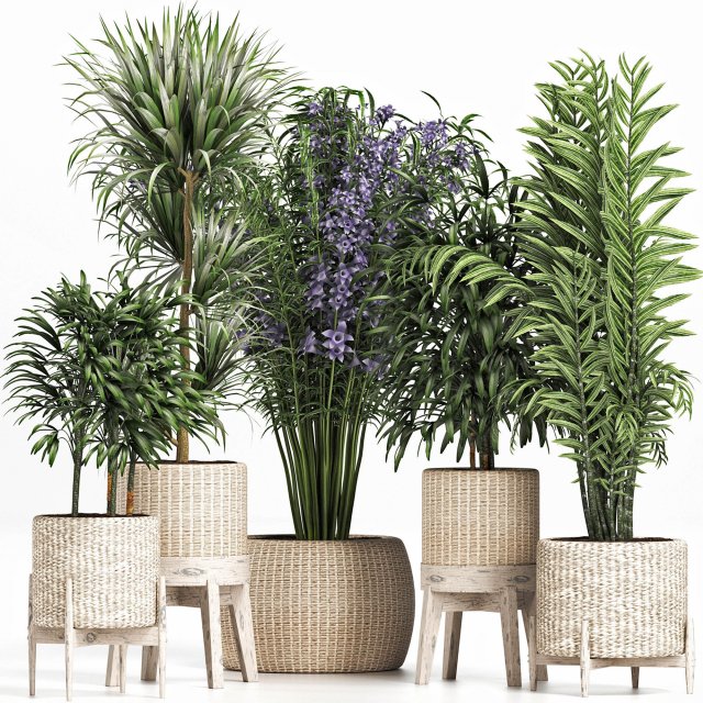 plants collection 213 3D Model .c4d .max .obj .3ds .fbx .stl .blend 