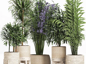 raccolta piante 213 Modello 3D