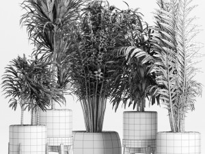 plants collection 213 3D Model