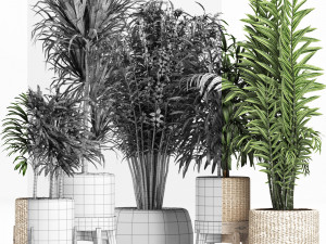 plants collection 213 3D Model