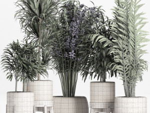 plants collection 213 3D Model