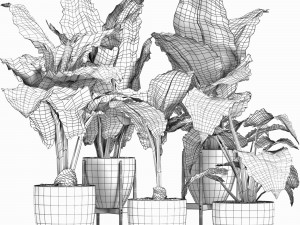plants collection 213 Model 3D