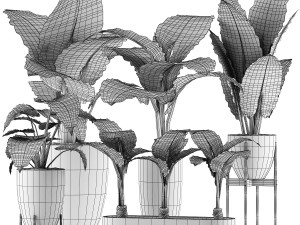 plants collection 216 3D 模型