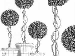 preserved boxwood tree topiary rh - indoor plant 220 Model 3D