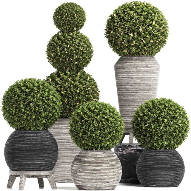 concrete tree topiary - indoor plant 221 Modèle 3D .c4d .max .obj .3ds .fbx .stl .blend 