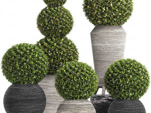 concrete tree topiary - indoor plant 221 3D Model