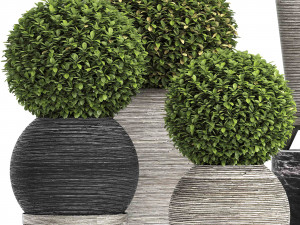 concrete tree topiary - indoor plant 221 Modèle 3D
