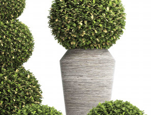 concrete tree topiary - indoor plant 221 Modèle 3D