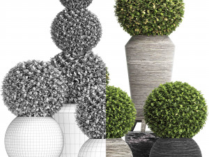 concrete tree topiary - indoor plant 221 Modèle 3D