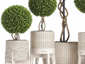 wicker woven tree topiary - indoor plant 222 Modèle 3D