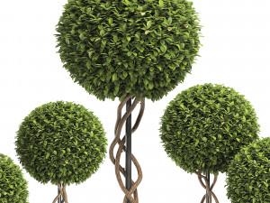 wicker woven tree topiary - indoor plant 222 Modèle 3D