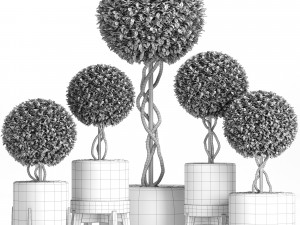 wicker woven tree topiary - indoor plant 222 Modèle 3D