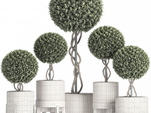 wicker woven tree topiary - indoor plant 222 Modèle 3D