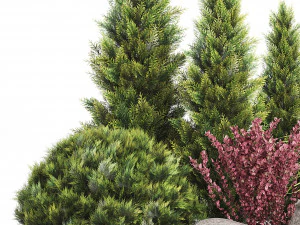 wicker woven tree topiary - indoor plant 222 3D Model