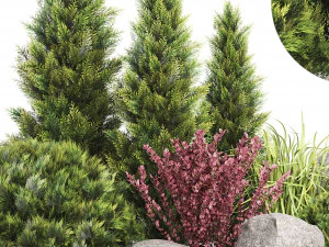 wicker woven tree topiary - indoor plant 222 3D Model