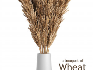 a bouquet of wheat Model 3D