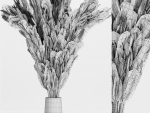 a bouquet of wheat Model 3D