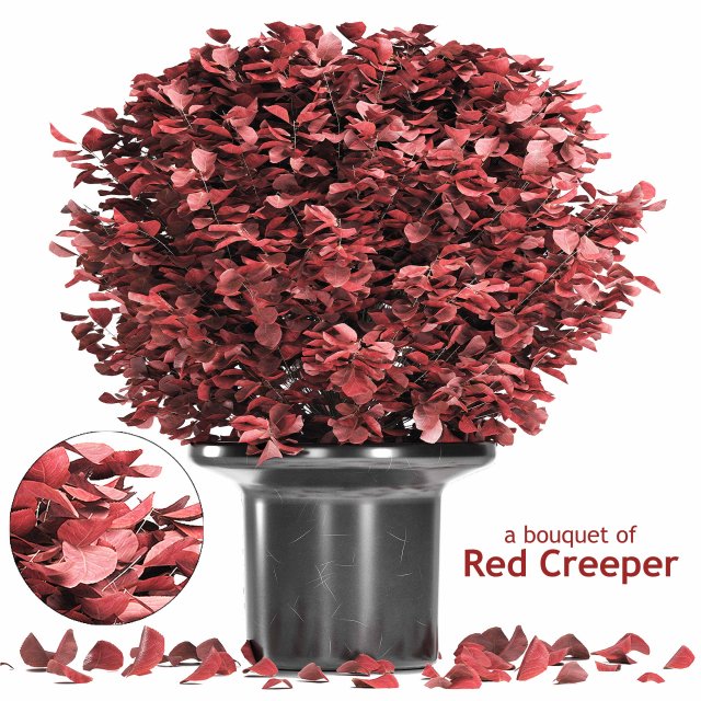 a bouquet of red creeper Modelo 3D .c4d .max .obj .3ds .fbx .stl .blend 