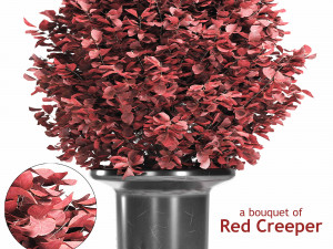 a bouquet of red creeper 3D Model