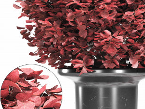 a bouquet of red creeper Modelo 3D