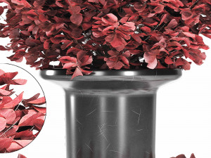 a bouquet of red creeper Modelo 3D