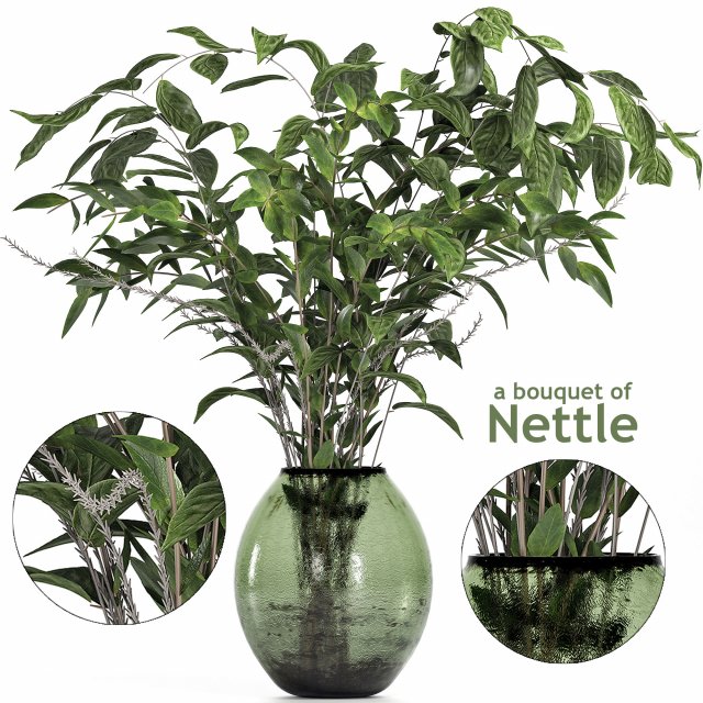 a bouquet of nettle and magnolia 3D-Modell .c4d .max .obj .3ds .fbx .stl .blend 