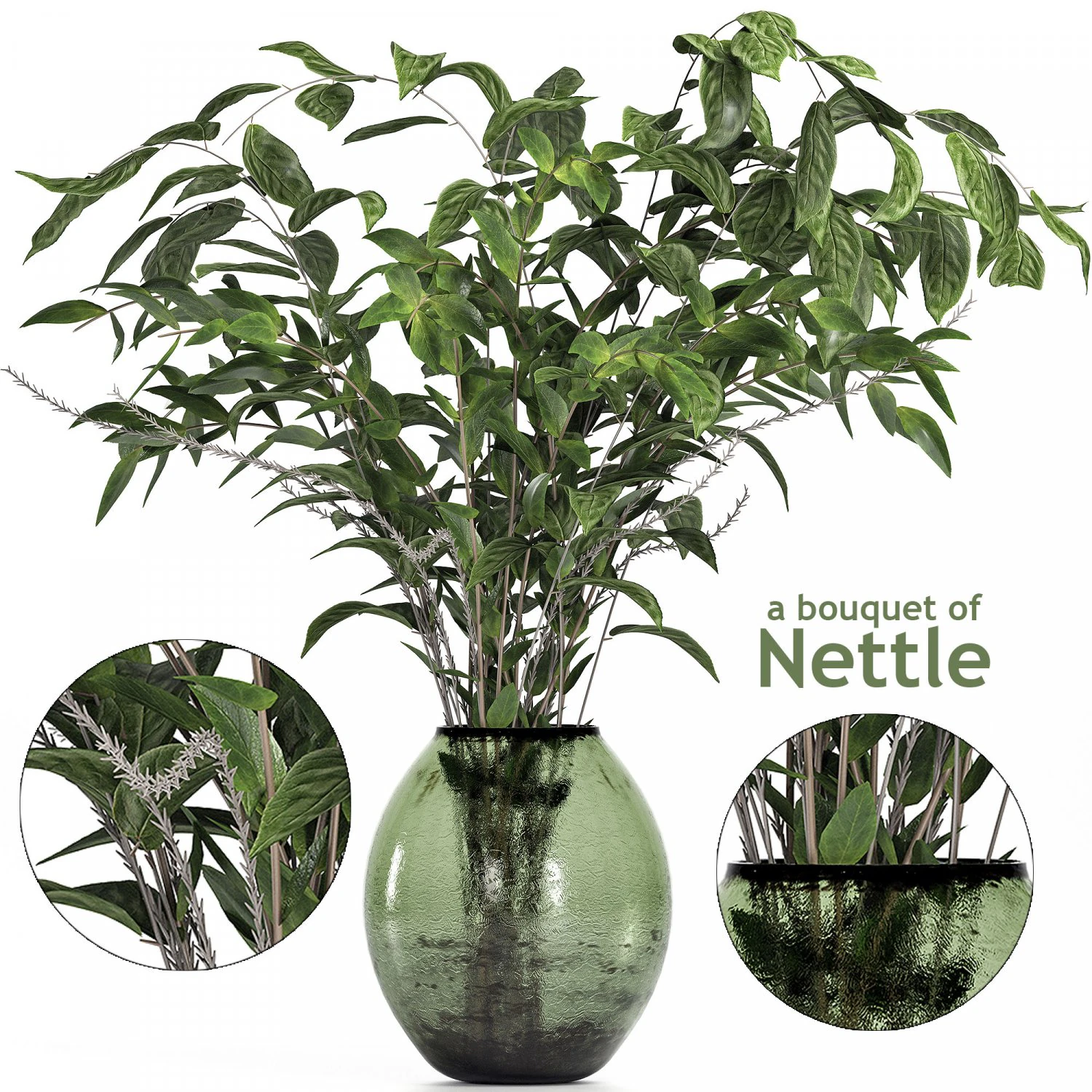 a bouquet of nettle and magnolia 3D Model .c4d .max .obj .3ds .fbx .stl .blend 
