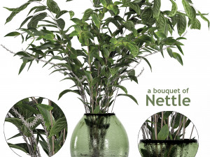a bouquet of nettle and magnolia 3D Model