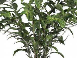 a bouquet of nettle and magnolia 3D Model