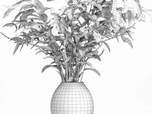 a bouquet of nettle and magnolia 3D Model