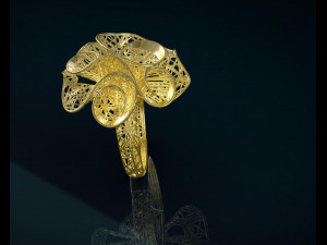ring Modelo 3D