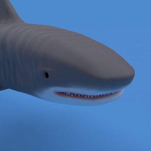 tiger shark Modelo 3D .c4d .max .obj .3ds .fbx .stl .blend 