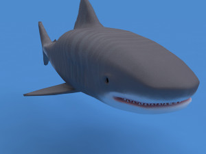 tiger shark Modelo 3D