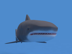 tiger shark Modelo 3D